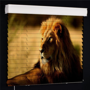 Lion Animal Photo Print Venetian Blinds